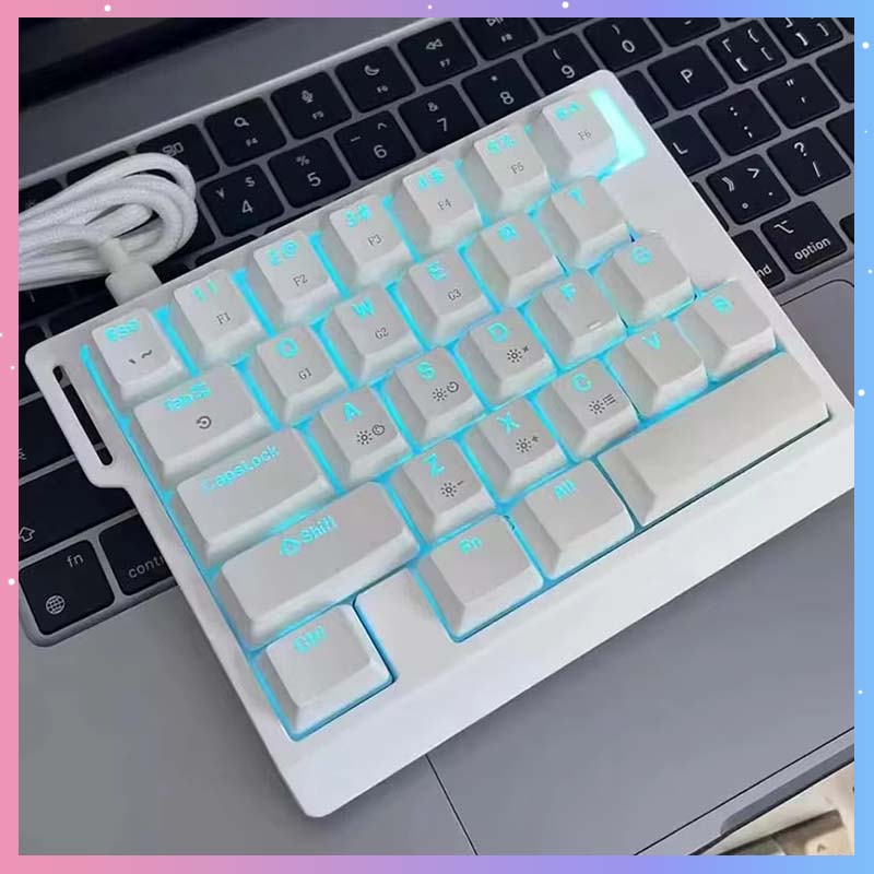 Gaming Keyboard Magnetic Switches - HE30 Mekanik Oyun Klavyesi 29 Tuşlu